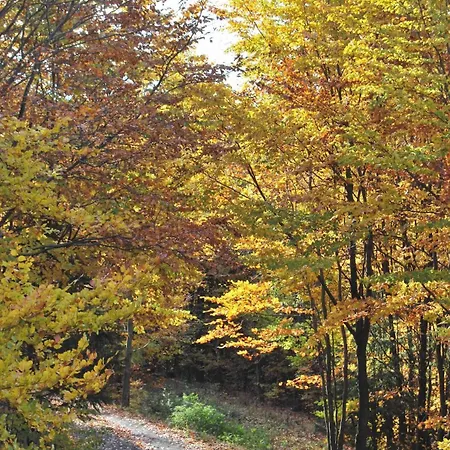 Apartmán Jaegerwohnung Im Forsthaus Am Schindelbruch *