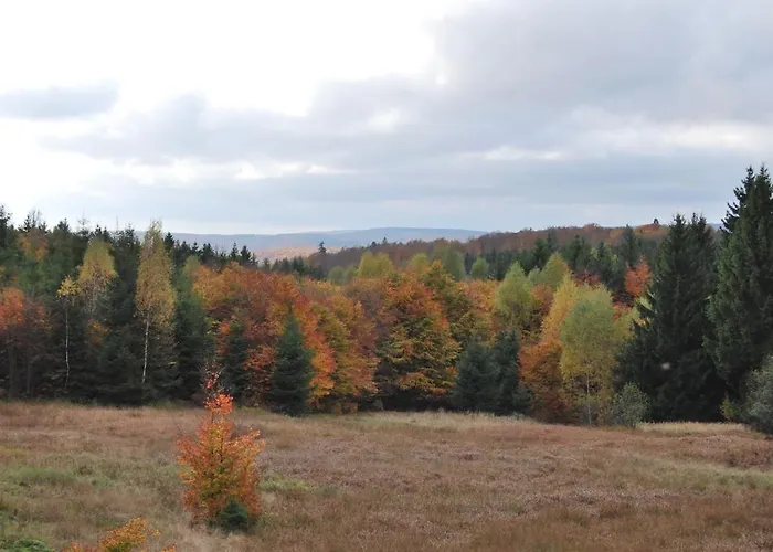Appartement Jaegerwohnung Im Forsthaus Am Schindelbruch
