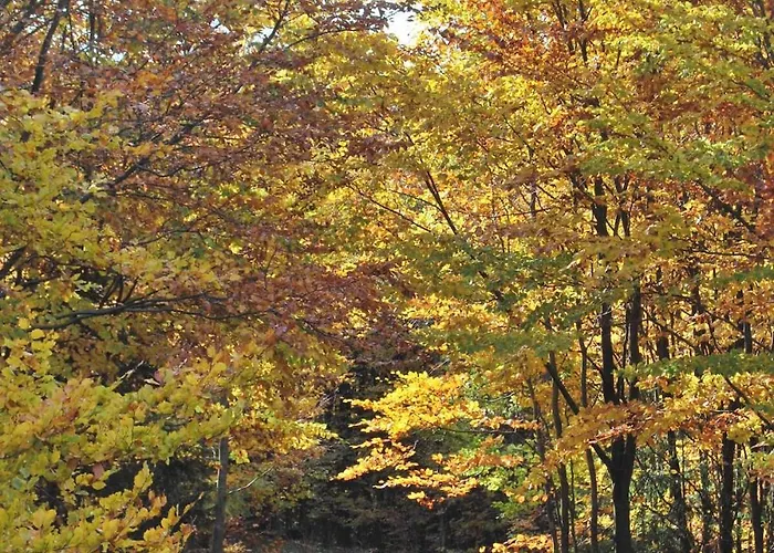 Appartement Jaegerwohnung Im Forsthaus Am Schindelbruch *